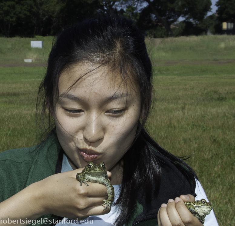 bioblitz2015